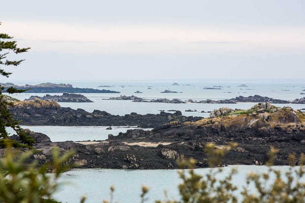 Un paysage sans cesse façonné par les marées