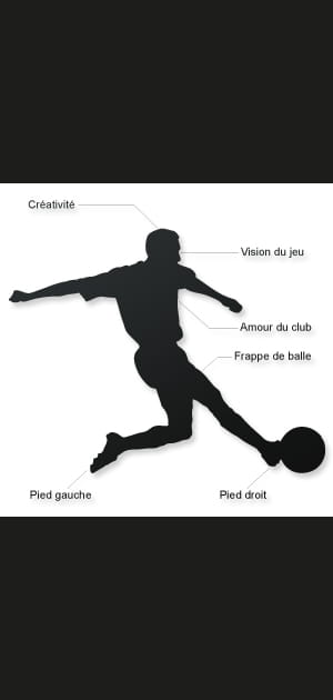 Votre footballeur id&eacute;al