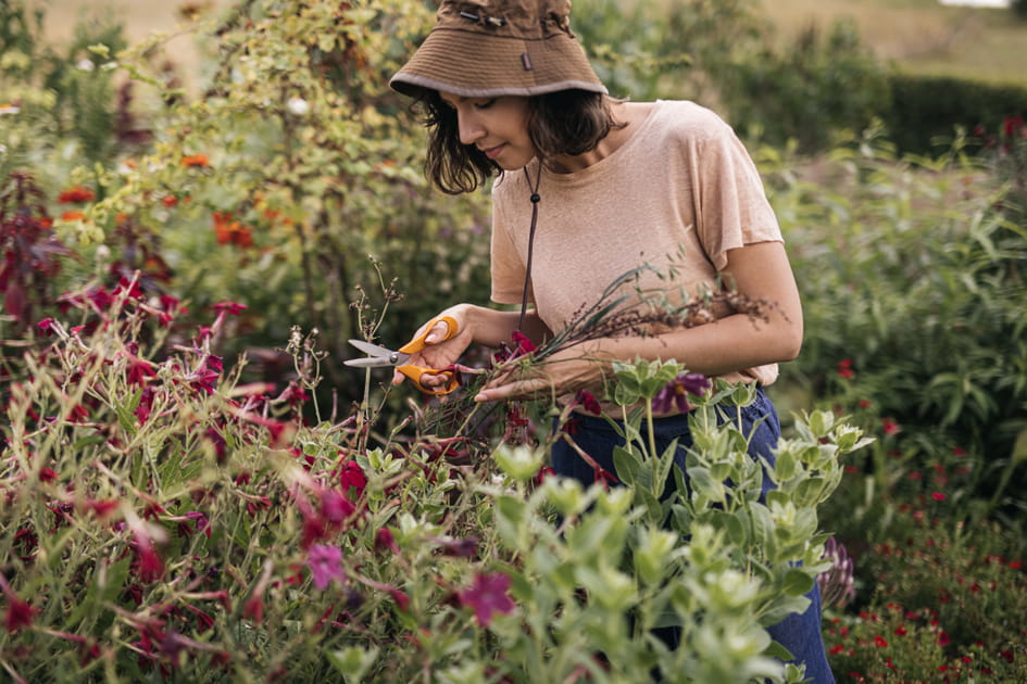 Id&eacute;e cadeau 10&nbsp;: des outils de jardinage de pro