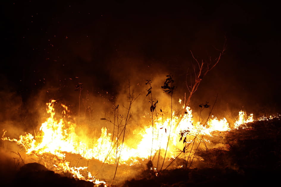 Quels moyens face au feu&nbsp;?
