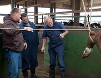 L'incroyable Dr Pol : Amour d'automne