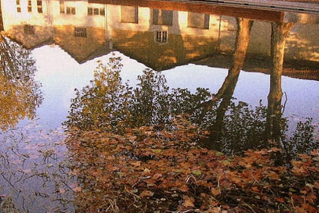 Reflets à Cognac
