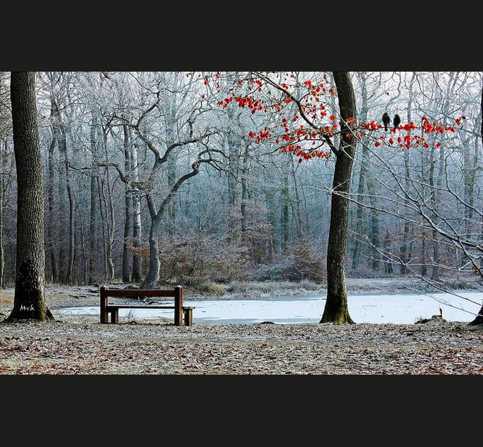 L'image du mois de d&eacute;cembre 2015