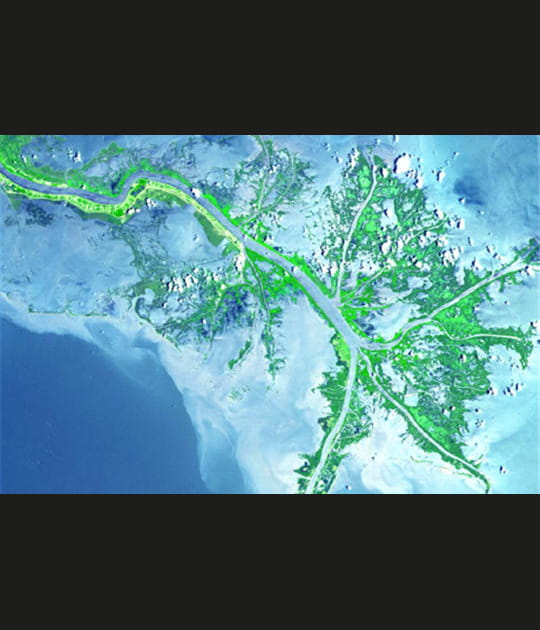Delta du Mississipi