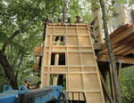 Cabanes perchées