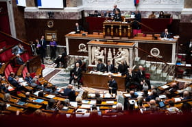 Suspension de la r&eacute;forme des retraites&nbsp;: qui a vot&eacute; contre&nbsp;? La gauche s'&eacute;charpe sur le scrutin