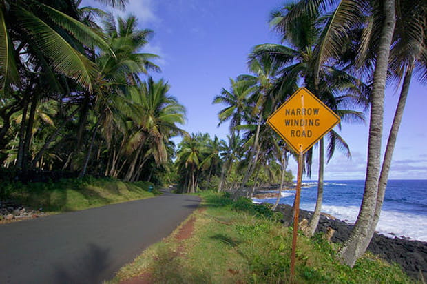 Vagues, soleil et vahinés à Hawaï