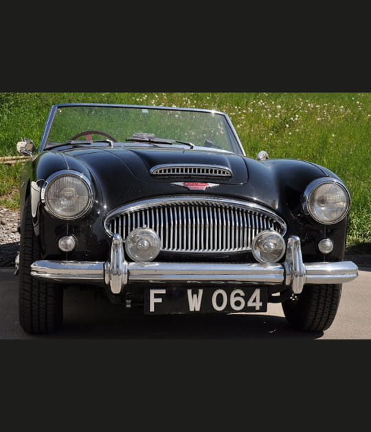 Le charme anglais d'une Austin Healey