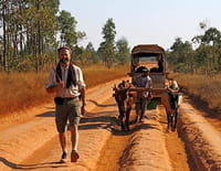 Mada Trek : Sur la route de l'Ouest