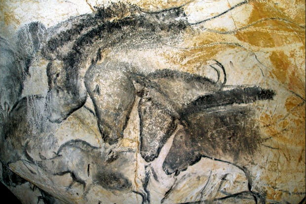 Les merveilles de la Grotte Chauvet