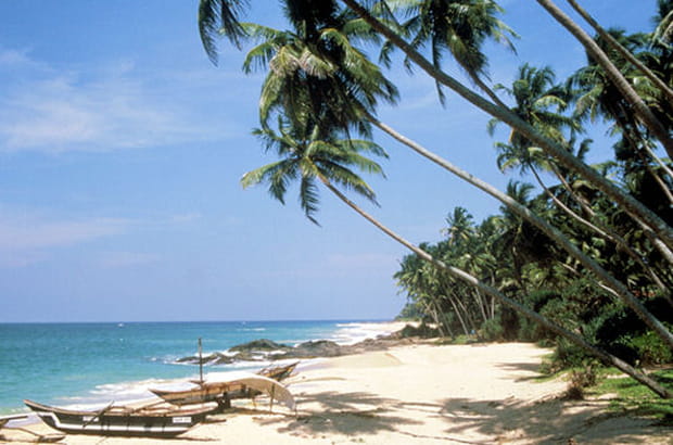 Sri Lanka : rêveries sur l'île émeraude