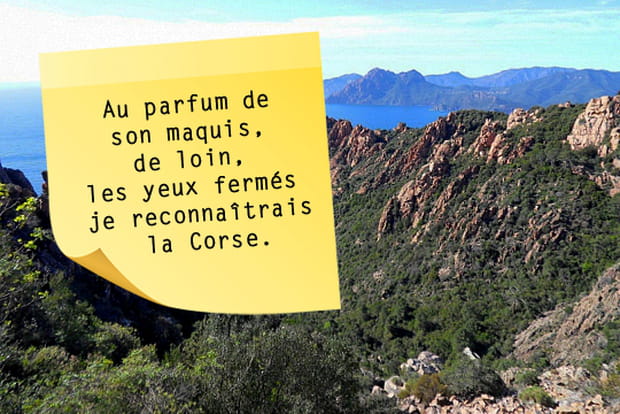 La Corse vue par Napoléon Bonaparte