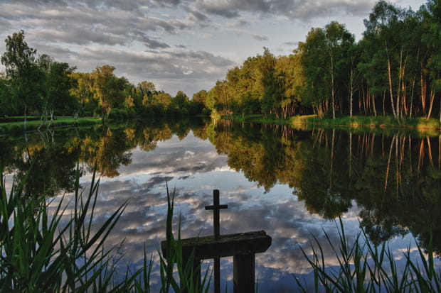 La Sologne, le "pays des mille étangs"