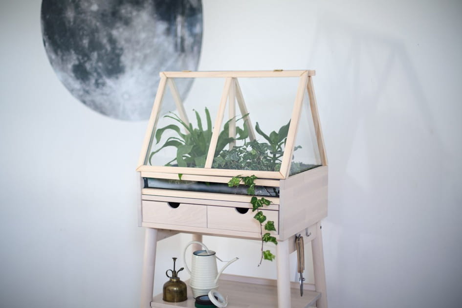 Une serre d'int&eacute;rieur