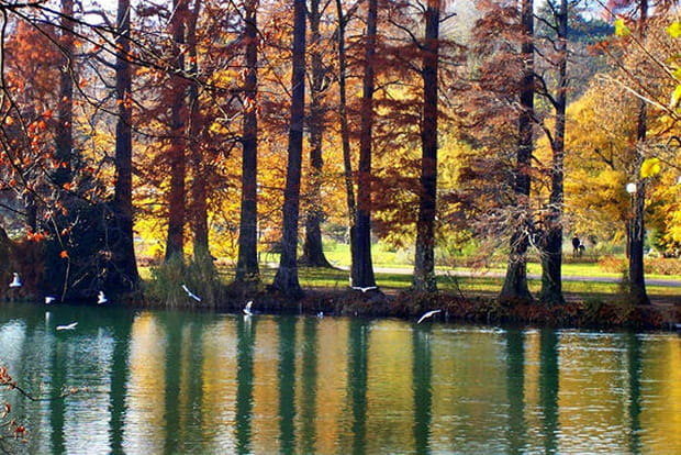 Lyon, Parc de la Tête d'Or