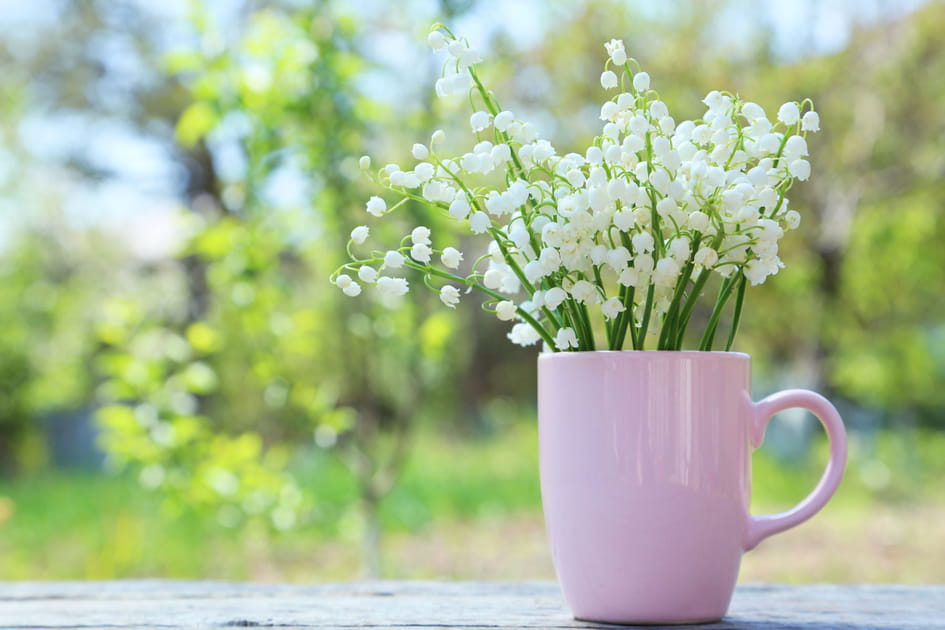 Les plus belles photos de muguet &agrave; envoyer &agrave; vos proches pour le 1er mai