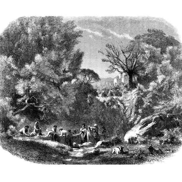 Les Lavandi&egrave;res de nuit dans les Corbi&egrave;res