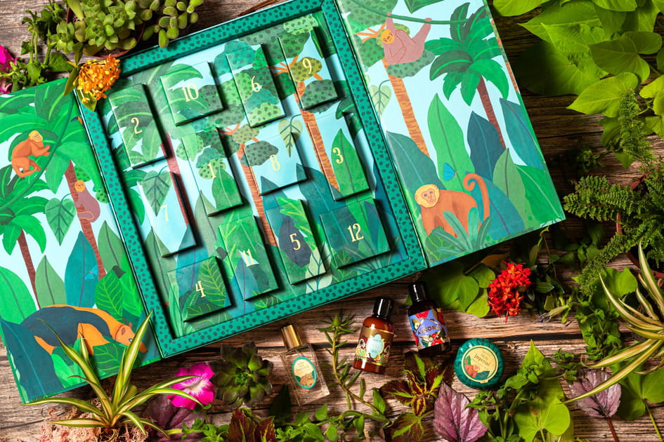 Quel est ce calendrier de l'Avent engag&eacute; pour la nature&nbsp;?
