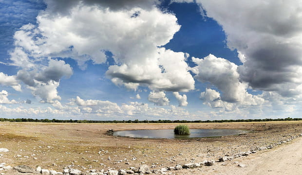 Le pan d’Etosha en Namibie