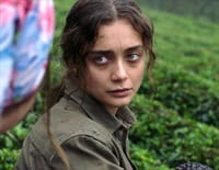 Sibel