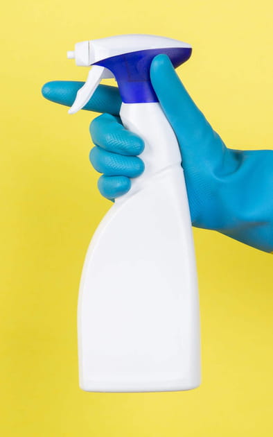 Utiliser de l'ammoniaque&nbsp;: une solution efficace contre les araign&eacute;es&nbsp;?