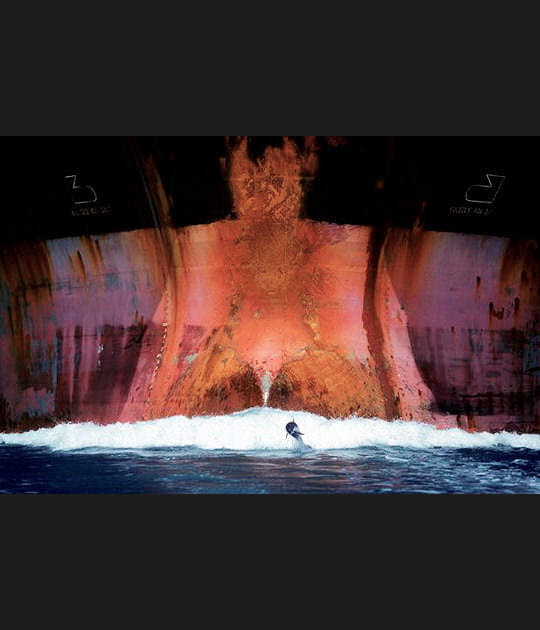 Le spectacle du dauphin