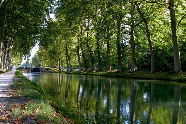 Flânerie le long du Canal du Midi