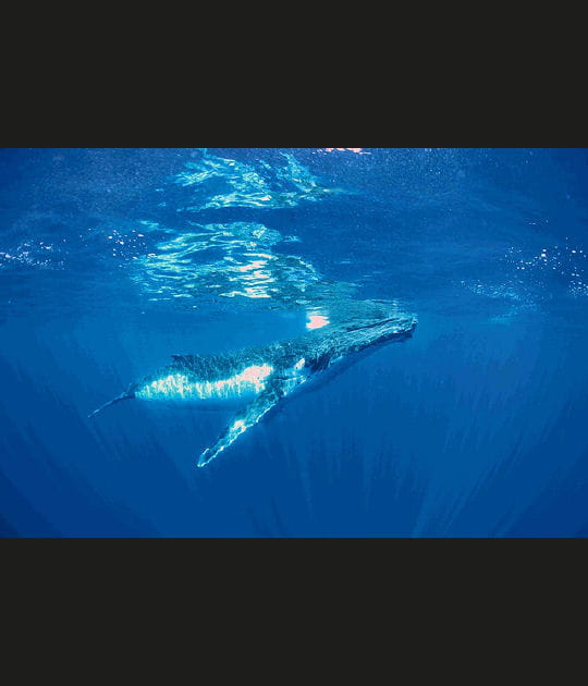 Reprendre son souffle