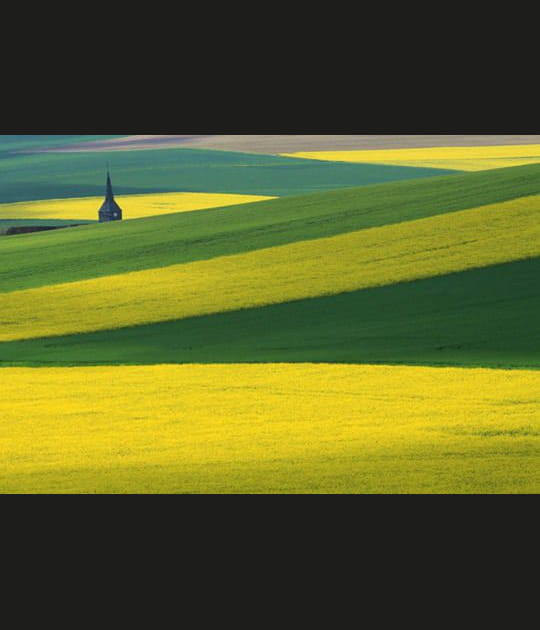 L'image de juin 2013