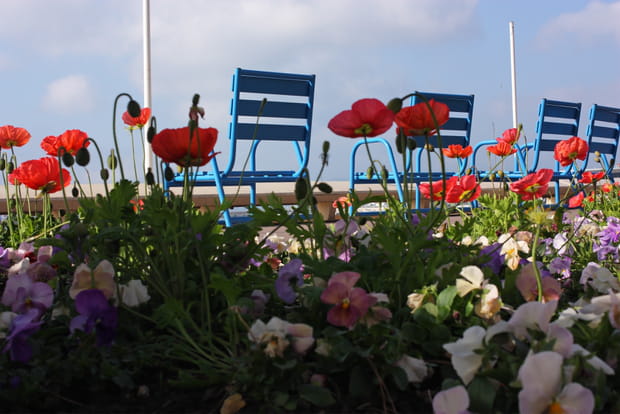 Cannes, la star des villes