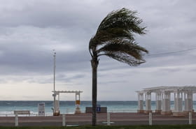 Temp&ecirc;te Claudia&nbsp;: 16&nbsp;d&eacute;partements plac&eacute;s en vigilance pour vents violents, un &eacute;pisode durable annonc&eacute;