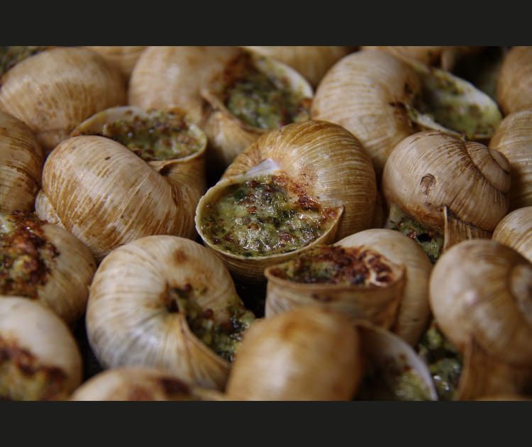 L'escargot de Bourgogne