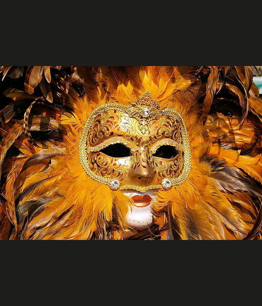 Le lion