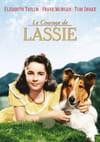 Le Courage de Lassie