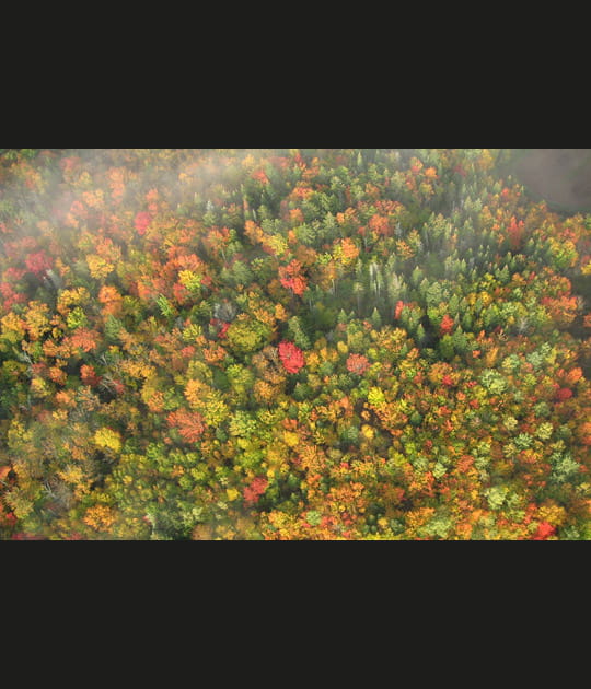 Vol au dessus de la brume d'automne canadienne