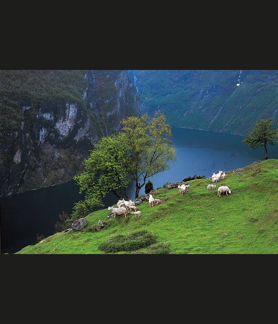 Geirangerfjord