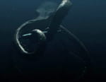 Mega Shark vs Octopus