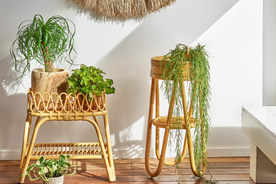 Des supports pour plantes en rotin