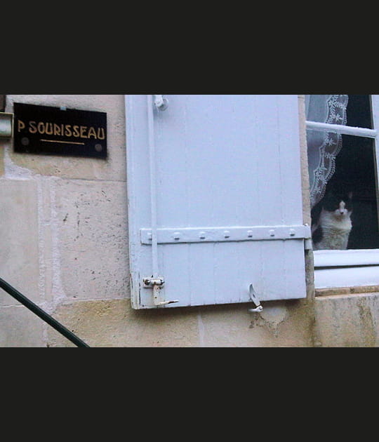 Au chat et &agrave; la souris