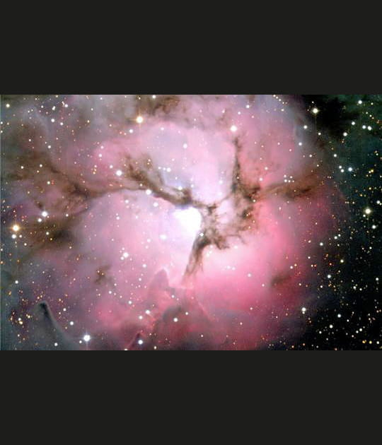 Incubateur de jeunes &eacute;toiles