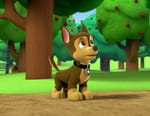 Paw Patrol, la Pat'Patrouille