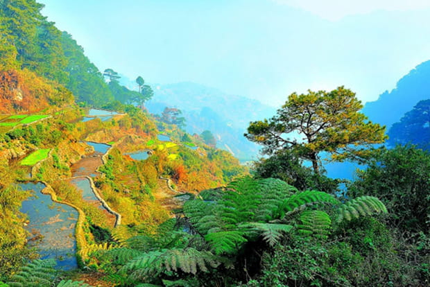 La cordillère de Luzon