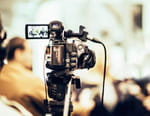 Reporters plus