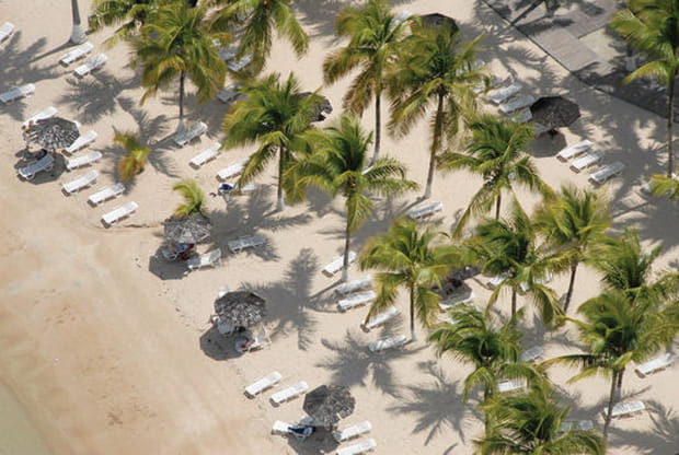 Les plages frangées de palmiers