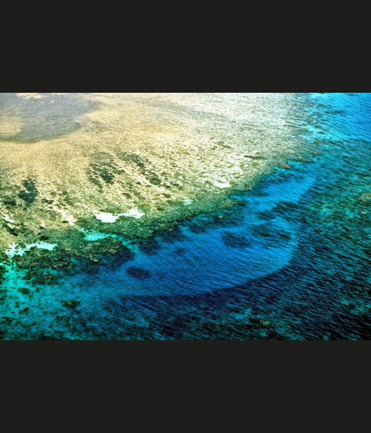 La grande barri&egrave;re de corail