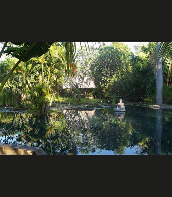 Une verdure protectrice