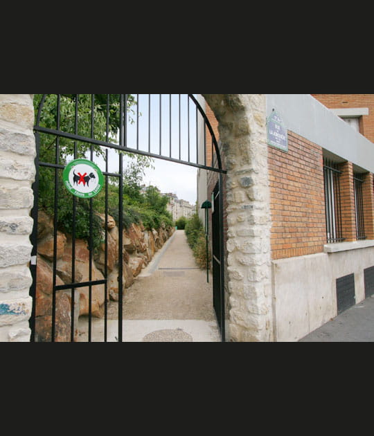 Le parcours v&eacute;g&eacute;tal