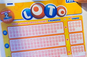 R&eacute;sultat du Loto (FDJ)&nbsp;: le tirage du samedi 15&nbsp;novembre 2025&nbsp;[EN LIGNE]