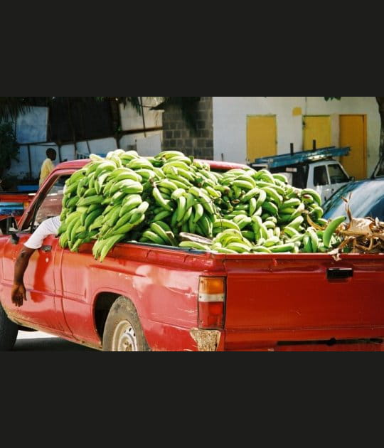 Les bananes
