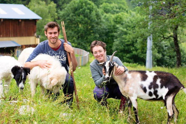 Dans la peau d'un chevrier-fromager en Savoie